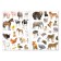 Reusable stickers Set "Such different animals", A4, 2 pcs.