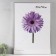 Photo frame LIDA 50x70 cm silver (plastic screen)