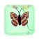 Lizun "Butterfly", species mix