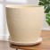 Flower pot "Savanna Beige bud No. 7", 13 l