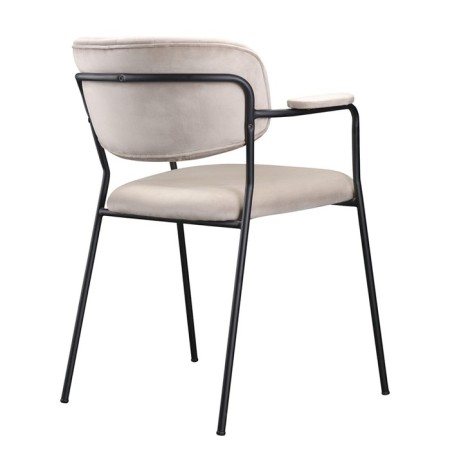Eirill chair, 530 × 590 × 770 mm, velor, gray-beige color-15