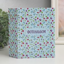 Photo album in 96 photos 10x15 cm 