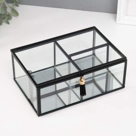 Casket Glass with a metal frame "Easiness with a brush" Transparent 13x18x6.8 cm