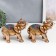 Souvenir Polystone "Golden Elephant in Blue Popone with Tasses" MIX 20x10.5x22 cm