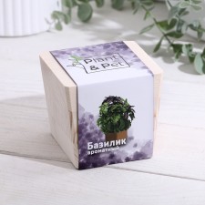 Set for growing p & p 