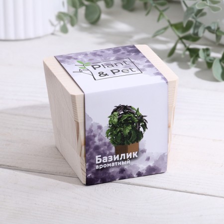 Set for growing p & p "Basil fragrant"