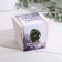 Set for growing p & p "Basil fragrant"