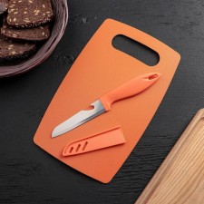 Set of kitchen shade, 2 items: Board section Plastic anti -slip rectangular 25 × 15 cm, knife, color mix