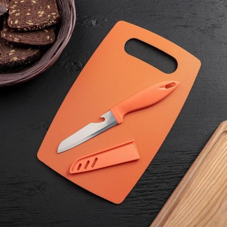Set of kitchen shade, 2 items: Board section Plastic anti -slip rectangular 25 × 15 cm, knife, color mix