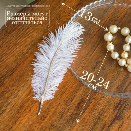 Feather for decor, size: 20-24 cm, white color-1