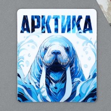 Vinyl magnet 