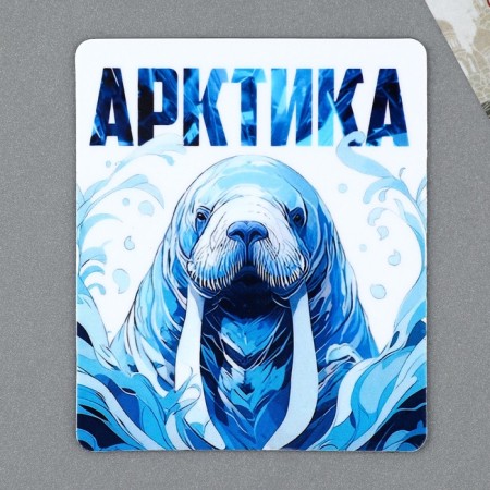 Vinyl magnet "Arctic" 6 x 7 cm
