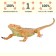 Figure "World of Wild Animals: Varan"
