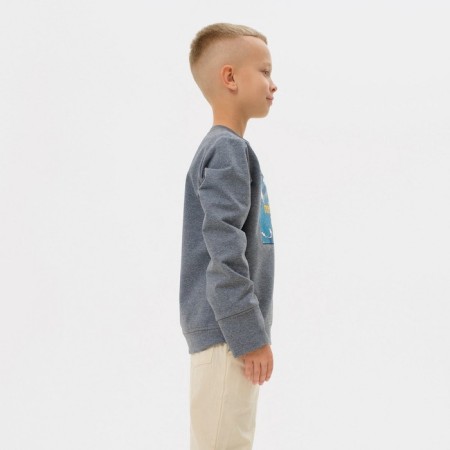 Svitshot for the boy Minaku: Casual Collection Color gray, height 128-4