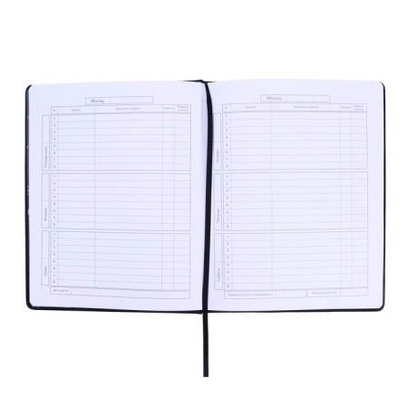 School diary for grades 1-11 Medzhik Cat, firm cover with artificial leather foam, perforation + holographic substrate, foil embossing, 48 sheets, an offset block 80g/m2, universal cheat sheet-4
