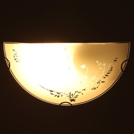 Lamp "Tenderness" 1 lamp E27 60 W F300/2-2