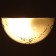 Lamp "Tenderness" 1 lamp E27 60 W F300/2