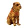 Figure "On the farm: Sharpei"