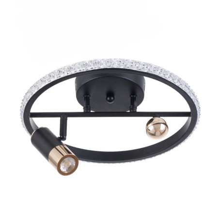 Acropolus chandelier 35W LED black, gold 2700-6400K 30x30x15cm