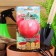 Seed Tomat "Love da pigeen", f1, early -ripe, 0.03 g