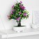 Bonsai in the pot "bright tree" 10x20 cm, mix