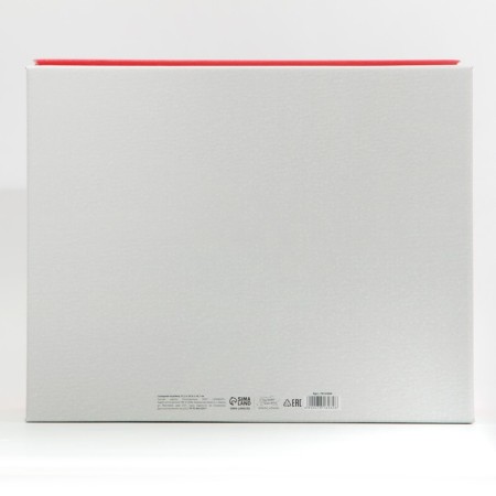 Hyugge folding box, 31.2 x 25.6 x 16.1 cm, New Year-4