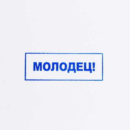 Automatic stamp for the teacher "Well done", 14 x 38 mm, blue-2