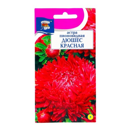 Seeds of flowers Astra Pionovid "Duches", red, 0.3 g