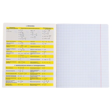 Subject notebook, 48 sheets, cage, physics, erichkrause "BE Informed", plastic cover silk-screen cover, Belly Beliac block 100%, info block-3