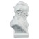 Gypsum figure famous people: Bust Bazhov 19*13*9 10-192
