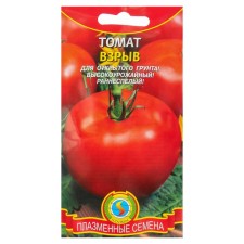 Seeds Tomat 