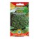 Broccoli Cabbage seeds "Linda"