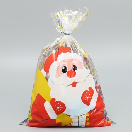 Plastic packet "Happiness to you", 20 x 30 cm, new year-1