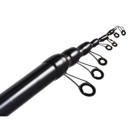 Salmo Diamond Bolognes Medium MF, test 5-20 g, length 5 m.-4