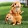 Garden figure "Bunny jumpers" 9x13x19cm