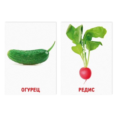 Educational cards according to the method of Glena Doman "Vegetables and Herbs", 8 cards, 2+-1