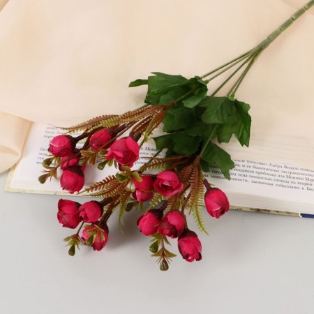 Bouquet "Pelargonium tuliper" 1.5x29 cm, mix