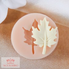 Mold Silicone 