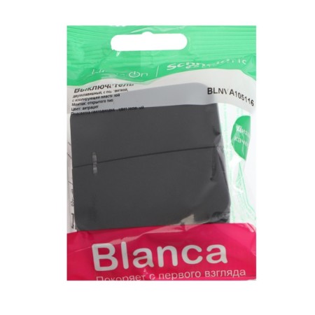 SE BLANCA switch, 10 A, 2 keys, IP20, overhead, backlight, anthracite, Blnva105116-1