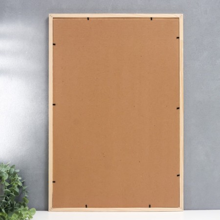 Photo frame 40x60 cm white tree pr. No. 1 (plastic screen)-1