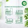 Frifting balloon Airwick Freshmatic Pure "Wood Patchouli and Eucalyptus", 250 ml