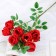 Artificial flowers "Septima" 5x65 cm, red