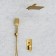 The shower system wasserkraft a55201, built -in, tropical shower, gold color