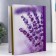 Photo album 30 magnetic sheets (60 steers) "Lavender" 23x28 cm