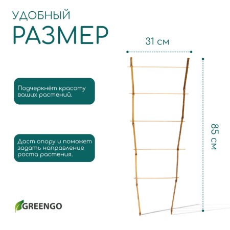 Shpalera, 85 × 31 × 1 cm, bamboo, "single", Greengo-3