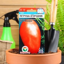 Seed Tomat 