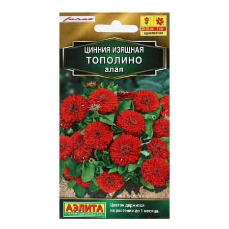 Seeds of Tsinnia Flowers "Popopolino", Scarlet, 12 pcs