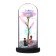 Nightlight "Fighting couple" LED from batteries 3haaa 11x11x22 cm Risalux