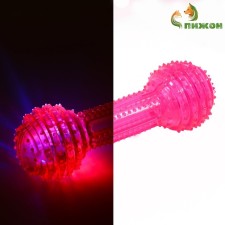 The toy luminous for dogs 