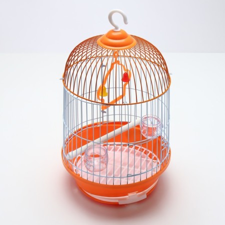 Birds Cell-Kound equipped BD-4/2, 23.5 x 33 cm, orange-1